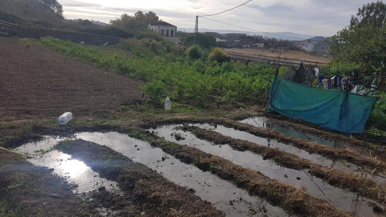 El Sitio De Su Recreo Villa Jerez De Los Caballeros Exteriör bild